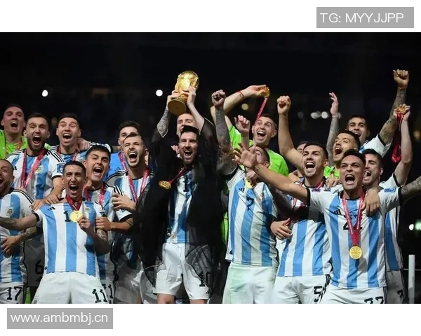 世界杯冠军背后的传奇故事与辉煌历程揭秘